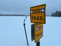 Willow Swamp Trail