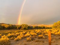 double rainbow