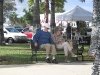 03. Fort Pierce farmers market bench: January 5, 2008