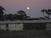 December Florida Moonrise Over White Rabbit Acres