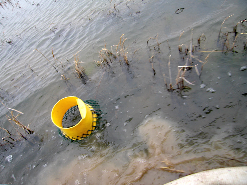 9. Crawfish traps in southern Louisiana