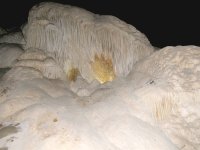 The Whale's Mouth in Carlsbad Caverns