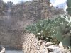 Natural Entrance to Carlsbad Caverns