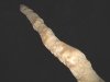 Tall Stalagmite in Carlsbad Caverns