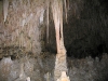 Column Forms in Carlsbad Caverns