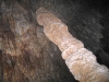 Large Stalagmite in Carlsbad Caverns