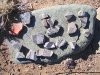Prehistoric Mogollon Indian pottery in New Mexico