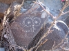 Mogollon Indian petroglyphs in Tularosa Valley, New Mexico
