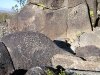 Mogollon Indian petroglyphs in Tularosa Valley, New Mexico