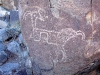 Mogollon Indian petroglyphs in Tularosa Valley, New Mexico