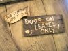 Dogs on lease, Luckenbach Saloon