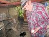 Dad in the chicken coop