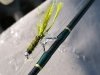 Frozen Fly Fishing Rod eyelets on Arkansas River at Hecla Junction