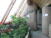 Earthship garden Taos NM
