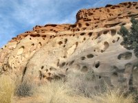 Swiss Cohab Canyon Cheese Capitol Reef National Park