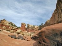 Cohab Canyon Proposal Altar Capitol Reef National Park