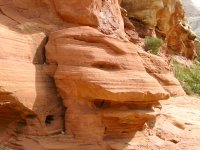 Rock Face Simpsons Character of Cohab Canyon
