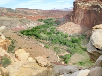 South Fruita Overlook from Cohab Canyon Trail