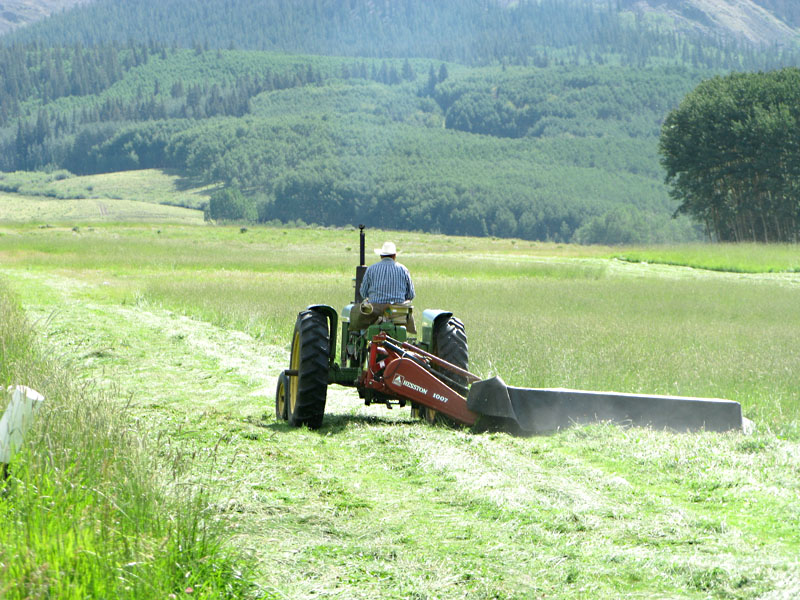 Larry Vickers mowing hay field in Lake City, CO