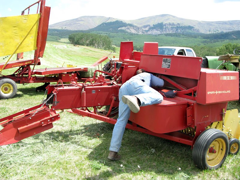 Hay Favorite Hay Harvest Workamping Memories