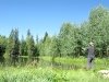 Jim fly fishing Gold Hill lake at Vickers Ranch