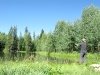 Jim fly fishing Gold Hill lake at Vickers Ranch