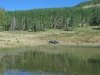 Old Blue will get you to joe Bob Lake at Vickers upper ranch