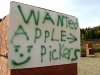 Apple pickers wanted Methow Valley WA