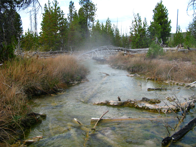 Yellowstone Steaming Creek at Artist Paint Pots