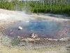 Yellowstone Hot Spring Pool