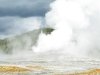 Old Faithful Erupts in Yellowstone