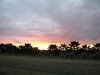 Florida sunset over White Rabbit Acres