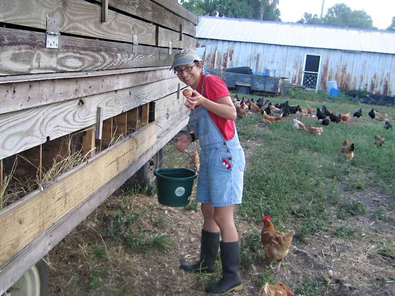 02. Collecting Hormone Free Eggs at White Rabbit Acres
