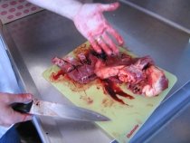 20. Jim demos his butchering skills on a beef heart.