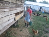 12. Collecting Hormone Free Eggs at White Rabbit Acres