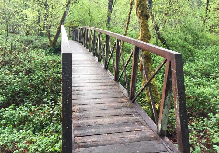 Buckhead Trail Hiking Path Bridge