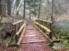 Moss Covered Footbridge - Westfir, Oregon