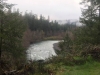 Willamette River Fork - Westfir, Oregon