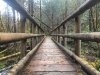 Moss Covered Footbridge - Westfir, Oregon