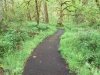 Buckhead Nature Trail Westfir Oregon