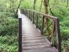 Westfir Oregon Forest Trail Bridge
