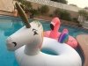 Kinky Pool Floats