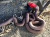 Stinky Slinky Sewer Hose Pile