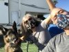 Covid Safe Mask Party