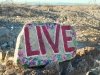 Live