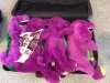 The Barney Tour