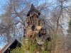 Laporte Colorado Shoe School Tree House