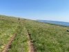 Cannibal Plateau Trail Run