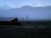 vickers ranch morning mist