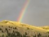 gold hill rainbow